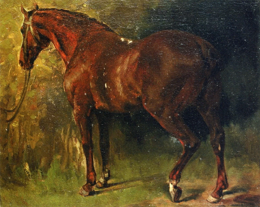  71-Il cavallo inglese di M. Duval 